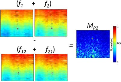 Non-linear Phased Array Imaging of Flaws Using a Dual and Tri Frequency Modulation Technique